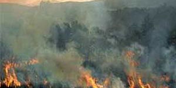В Италии и Португалии бушуют пожары