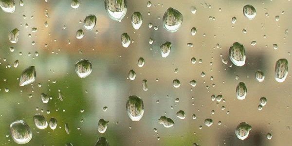 В выходные дни в Приморье прошел дождь различной интенсивности