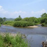 Река Кневичанка
