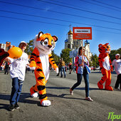 Жители Владивостока отпраздновали День Тигра красочным парадом