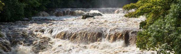 На реках центральной части Приморья растёт интенсивность подъёма воды