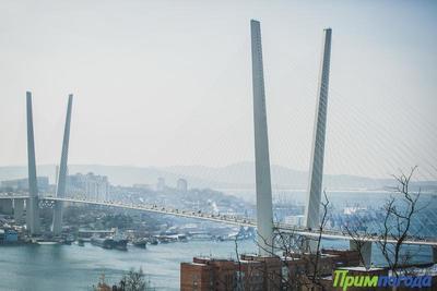 Владивосток лидирует в голосовании за лучший город России