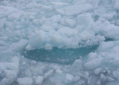 На реках Приморья начался процесс разрушения ледяного покрова