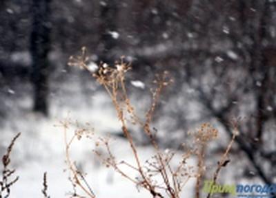 Во Владивостоке возможен слабый снег 