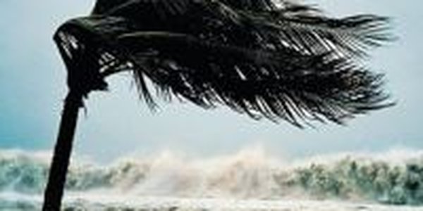У побережья Мексики сформировался первый в этом году тропический шторм