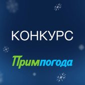 Угадайте погоду во Владивостоке в новогоднюю ночь 2018!