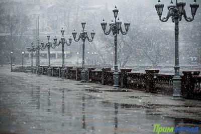 Снег с дождём ожидает жителей Владивостока в пятницу, 11 ноября