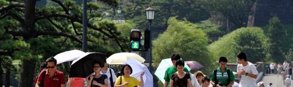 В Японии из-за жары пострадали более 5 тысяч человек