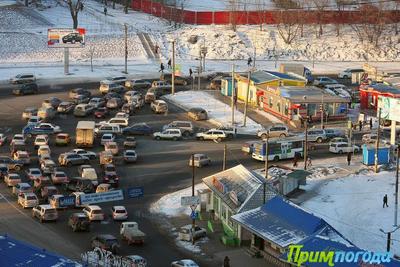 Чем дышал Владивосток с 9 по 19 января?