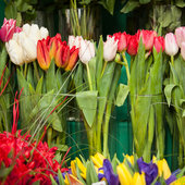Главный день цветов: всё про букеты на 8 марта