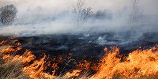 В Приморском крае бушуют лесные пожары