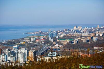Чем дышал Владивосток с 11 по 20 октября?
