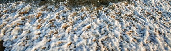 В Приморье температура морской воды составляет 19–25 градусов