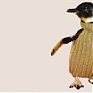 Двое туристов в Австралии приговорены к штрафу за похищение пингвина