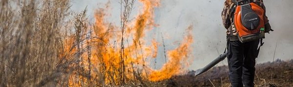 Особый противопожарный режим введён в Уссурийске