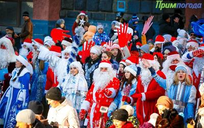 Шествие Дедов Морозов пройдёт во Владивостоке 24 декабря