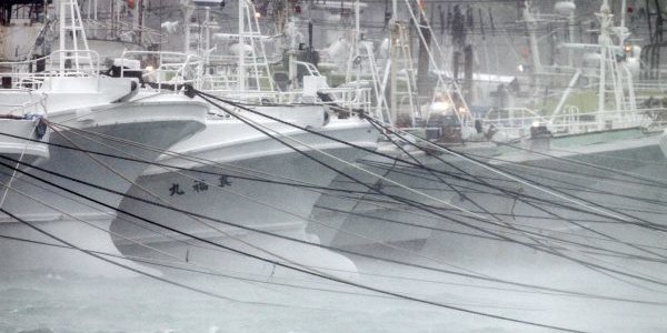 Первые последствия тайфуна «Неогури» в Японии