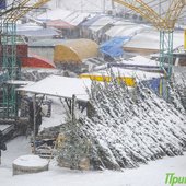 Максимальное ухудшение погоды в Приморье ожидается вечером 22 декабря