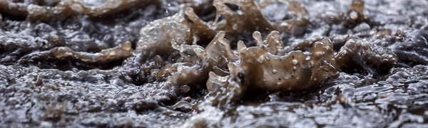 Критической отметки достигнет уровень воды в Приморье из-за дождей