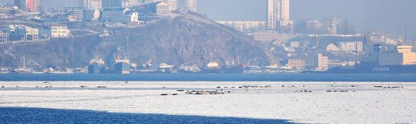 Синоптики рассказали о погоде в Приморье и Владивостоке в первые выходные февраля