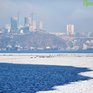 Прогноз погоды на рабочую неделю в Приморье и Владивостоке озвучили синоптики