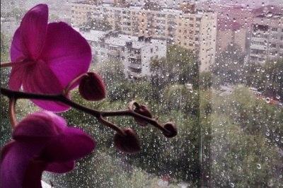Пятница во Владивостоке: гроза и дождь (ФОТО)