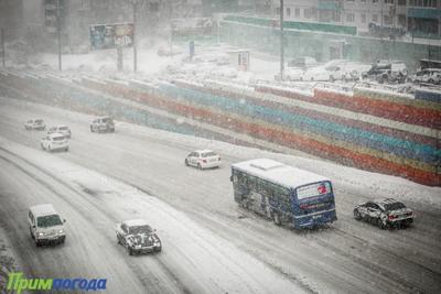 Более 20 междугородних автобусов из Владивостока отменили из-за снегопада