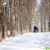 Обильный снегопад принес Владивостоку 1,3 месячной нормы осадков