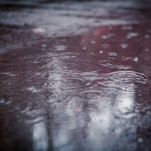 Вчера в Приморье прошли небольшие дожди