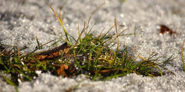 В выходные в Приморье воздух прогреется до плюсовых значений