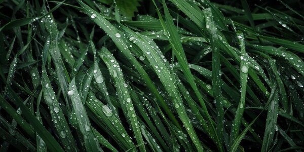 Тайфун «Кроса» в Приморье: больше всего осадков досталось юго-западу края