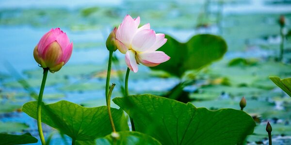 На следующей неделе существенных осадков во Владивостоке не ожидается