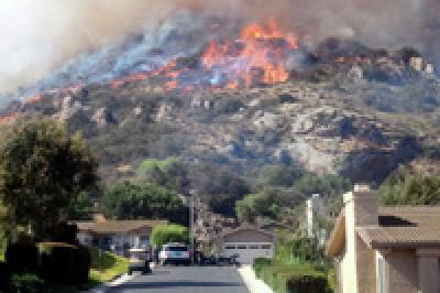Сотни человек покинули свои дома в Калифорнии из-за лесных пожаров