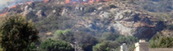 Сотни человек покинули свои дома в Калифорнии из-за лесных пожаров