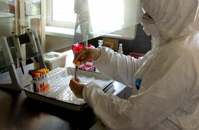 Жители Владивостока могут бесплатно пройти обследование на коронавирус