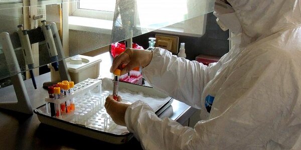 Жители Владивостока могут бесплатно пройти обследование на коронавирус