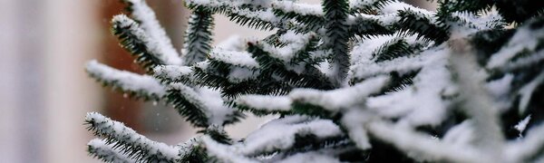 Активный циклон принес в Приморье до 23 мм осадков (ФОТО)