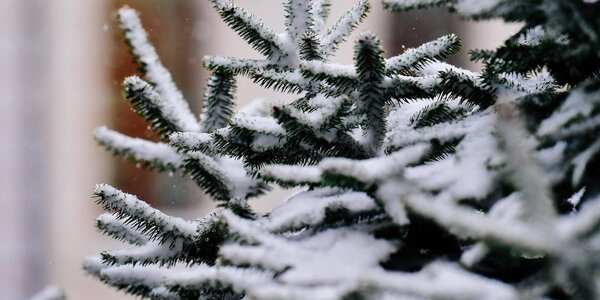 Активный циклон принес в Приморье до 23 мм осадков (ФОТО)