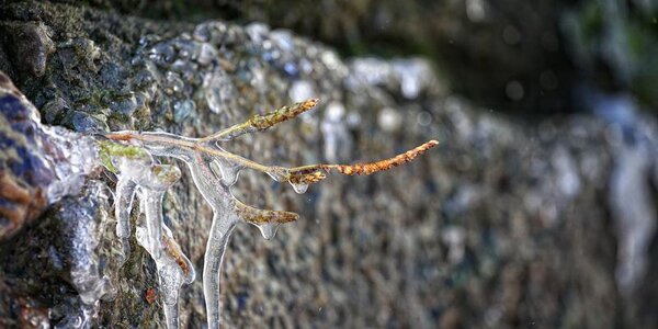 Неустойчивая погода будет в Приморье на выходных