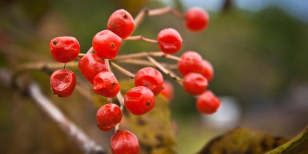 Неустойчивая погода будет в Приморье в начале следующей недели