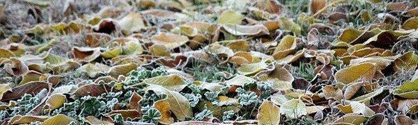 Антициклон принес некоторым районам Дальнего Востока ночные морозы