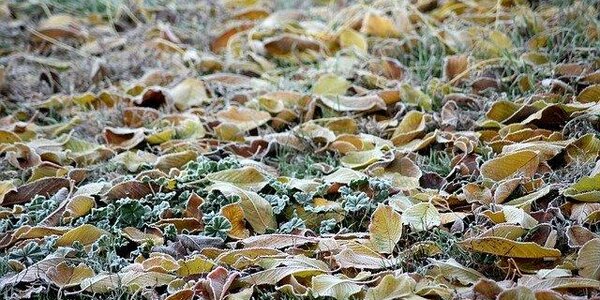 Антициклон принес некоторым районам Дальнего Востока ночные морозы