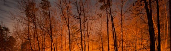 В Приморье введён режим ЧС