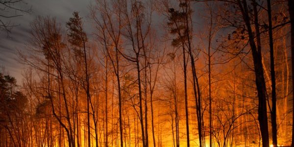 В Приморье введён режим ЧС