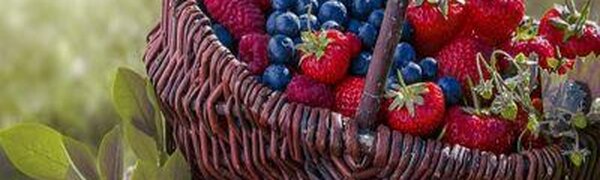 Названы самые полезные продукты при эпидемии коронавируса