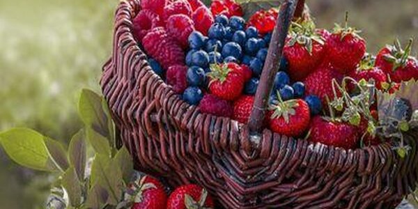 Названы самые полезные продукты при эпидемии коронавируса