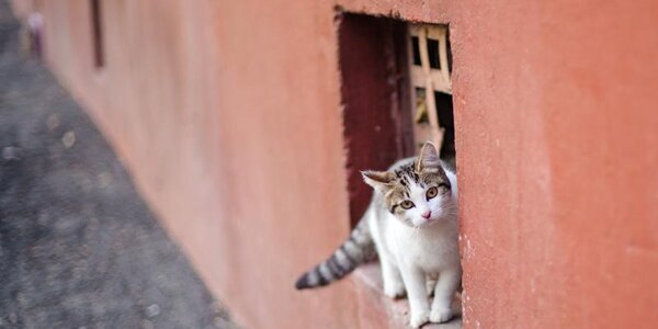 Весна в Приморье постепенно вступает в свои права