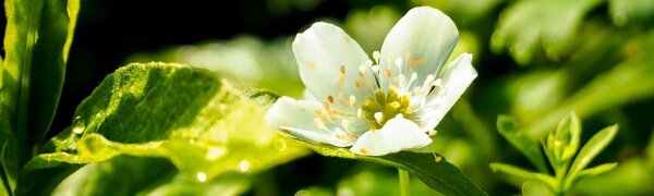 Летняя погода продолжает радовать жителей Приморья