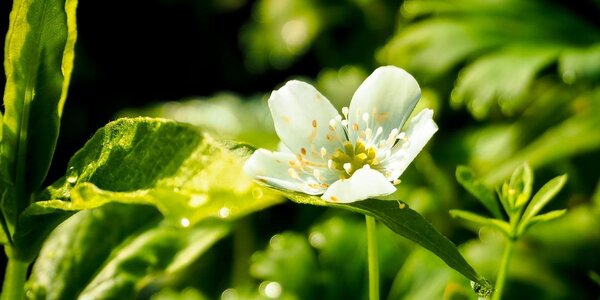 Летняя погода продолжает радовать жителей Приморья