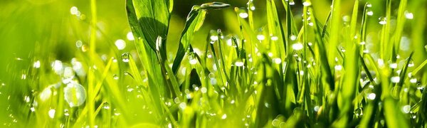 Чем дальше от моря, тем теплее: прогноз погоды на выходные в Приморье